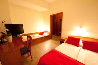 Hotel Bajt Maribor - Maribor - 5
