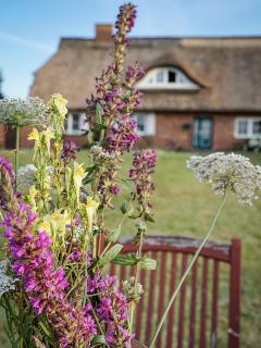 Ferienhaus Gut Glück - 8