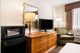 Quality Inn & Suites Near the Theme Parks - Orlando - 4