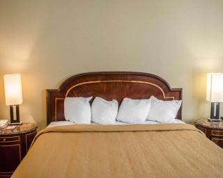 Quality Inn & Suites Pensacola Bayview - Pensacola - 6
