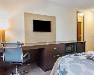 Sleep Inn & Suites Defuniak Springs - Crestview - Mossy Head - 4