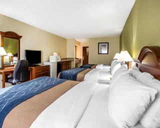 Quality Inn Darien-North Brunswick - Darien - 5
