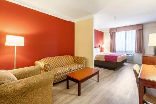 Econo Lodge Inn & Suites Douglasville - 3