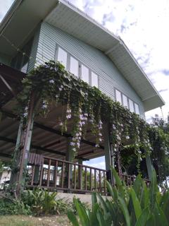 Green Home by Canal - Ban Tha Long Hip - 6