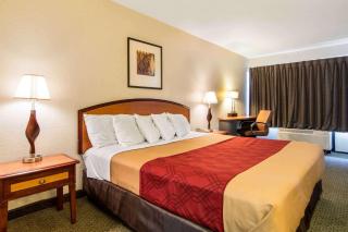 Econo Lodge Inn & Suites Conference Center Dublin - Dublin - 3