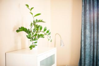 Penzion Papírna - 1