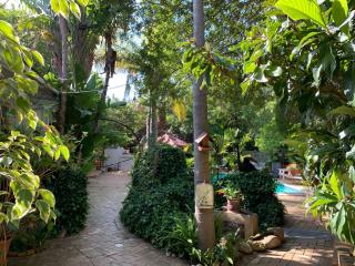 The Little Hideaway Guesthouse - Stellenbosch - 6