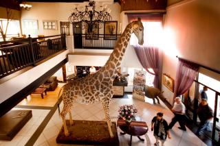 Bains Lodge - Sustainable Electricity - 9