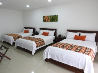 Finca Hotel San Jose - Montenegro - 8