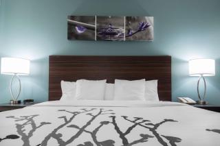Sleep Inn & Suites Washington near Peoria - Washington - 2