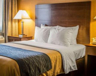 Quality Inn & Suites - Port Huron - 5