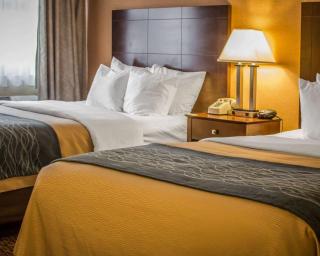 Quality Inn & Suites - Port Huron - 2