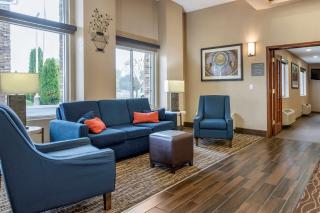 Comfort Inn & Suites Dimondale - Lansing - Dimondale - 7