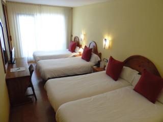 Hotel Sant Gothard - Arinsal - 6