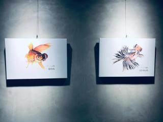 Home Rest Hotel 2 - 5