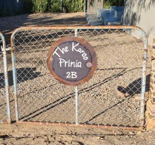 The Karoo Prinia - Prince Albert - 3