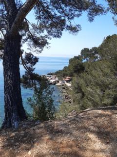 Chez Pierrot - Bandol - 7