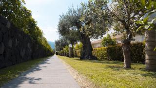 Villa Galati Resort - Mascali - 5