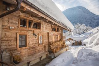 Bauernhaus & Appartement Goldschmied - Fügenberg - 7