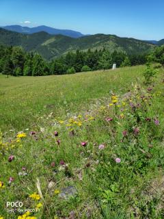 Medeni sat Mecavnik - Mokra Gora - 9