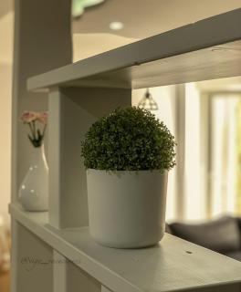 Romil 26 Urban Retreat by VigoVacaciones - 7