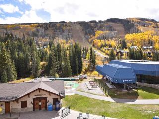 Lionshead Center #304 condo - Vail - 8