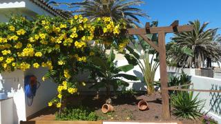 Casa Atlantico - nur einen Steinwurf vom Atlantik entfernt Ab Mai 2022 komplett neu renoviert - 9