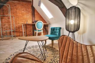 LOCBNB - TOURISM and BUSINESS LOCATIONS - ALSACE - BARR CENTRE - ROUTE DES VINS - Barr - 8