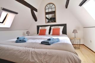 LOCBNB - TOURISM and BUSINESS LOCATIONS - ALSACE - BARR CENTRE - ROUTE DES VINS - Barr - 9