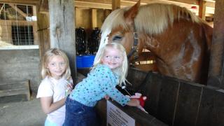 Holiday Inn Chicago North Shore by IHG - 8