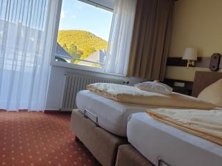 Kurparkhotel-Gemünd - Gemünd - 8