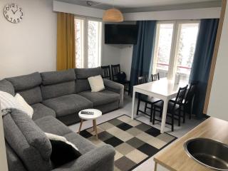 FREE downhill skiing ticket 1pcs Cozy and very peaceful place in Levi - Kittilä - 8