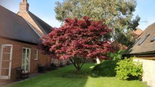 The Spread Eagle Hotel - Thame - 6