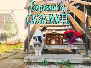 Casa Matì - Altedo - 8