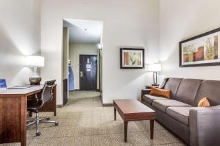 Comfort Inn & Suites Love Field-Dallas Market Center - 1