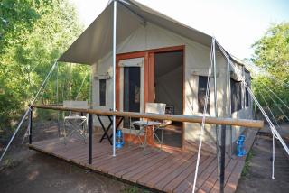 The Wild Olive Tree Camp - Riserva di Caccia Manyeleti - 0