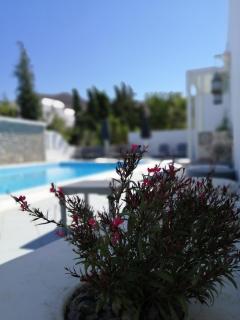 Mouras Resort - Livadi Astypalaias - 8