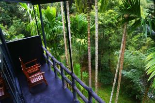 Cool Garden belihuloya - Belihul Oya - 2