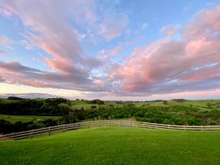 Kauri Glen BnB - Te Arai - 1