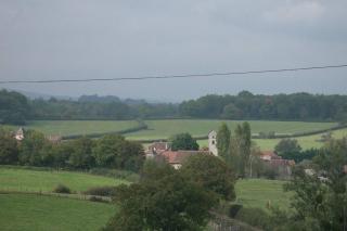 Le coeur du Lys - Chissey-lès-Mâcon - 5