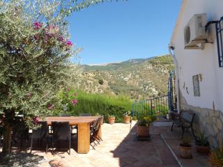 Finca Floretta - Canillas de Albaida - 7