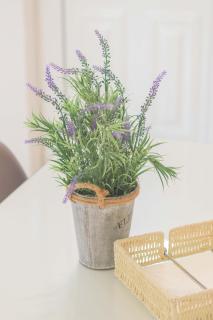 Pasithea apts - Almirida - 4