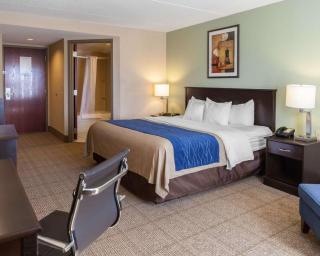 Comfort Inn Near Quantico Main Gate North - 7
