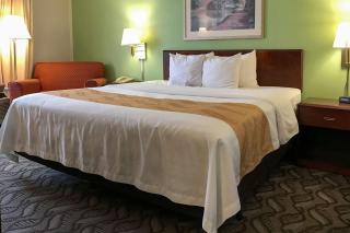 Quality Inn - Holland - 2