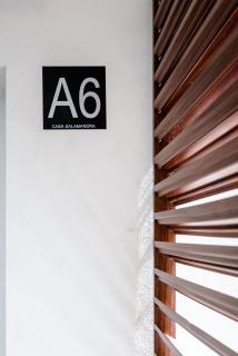 Salamandra - Altea - 3