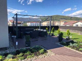 Clement Apartments - Piatra Neamţ - 5