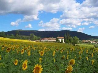 Appartamenti con cucina nelle colline toscane - Anghiari - 6