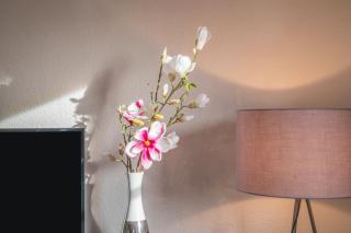 Ferienwohnung Säntisblick - Radolfzell am Bodensee - 8