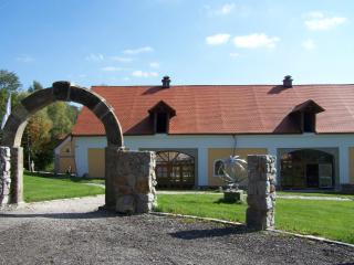 Hotel u Špejcharu - Nový Kostel - 3