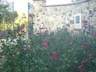 Pangea Villa 8 - Usually min 7 nights - Seggiano - 4